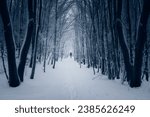 man walking on snowy path in dark winter woods