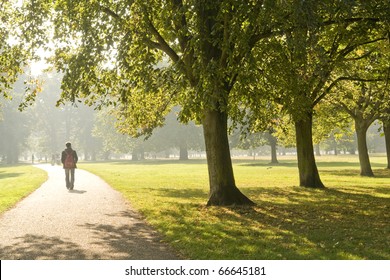 Man Walking In The Park