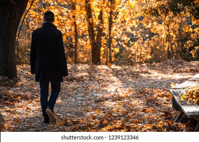 Man Walking In Park. Autumn landscape, background nature park.