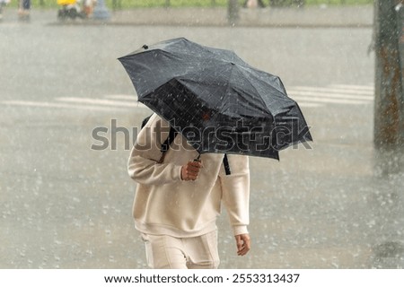 Similar – Under my umbrella Mensch