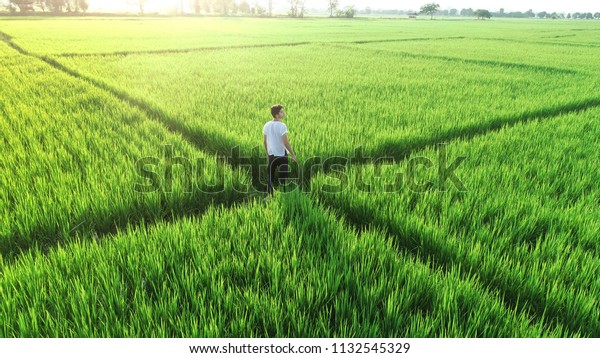 Man
walking in a rice field. Man from the back on a long country path.
Green field in the summer, Farmer walking through a green  field on
morning day, Young man walking in the field,
alone.