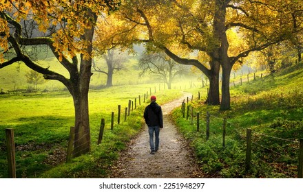 Man walking through the beautiful countryside, with green meadows and autumn trees surrounding the scenic pathway 