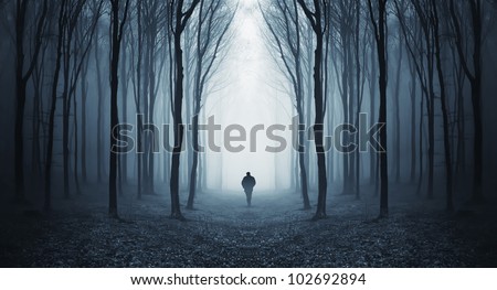 man walking through a fairytale forest