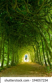 Man walking towards the light in a green tunnel of trees on a nice summer's day.