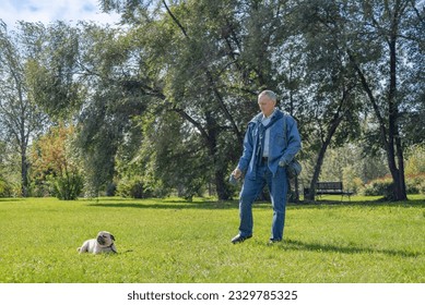 a man walks with a beautiful pug in the park on the lawn - Powered by Shutterstock