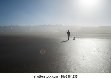 A Man Walks His Dog Along A Foggy Beach In Oregon.