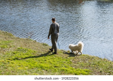 A Man Walks With His Dog Along The River Bank On A Sunny Day. White Samoyed Husky With Long Hair. October 14, 2019, Belgorod, Russia