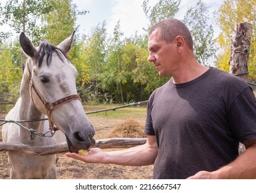 A Man Walks With A Horse On A Warm Summer Day. 