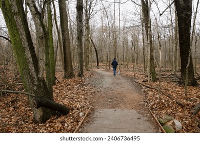 a man walks on a leaf covered trail through the woods while walking his black and white rescue dog on a leash on a cloudy day - Powered by Shutterstock