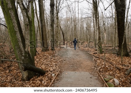 a man walks on a leaf covered trail through the woods while walking his black and white rescue dog on a leash on a cloudy day
