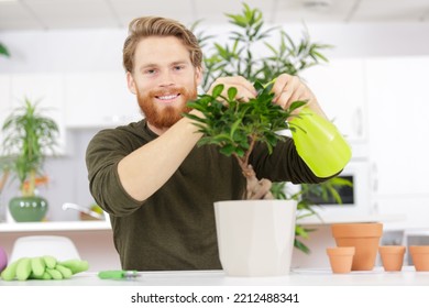 Man Watering A Bonsai Tree