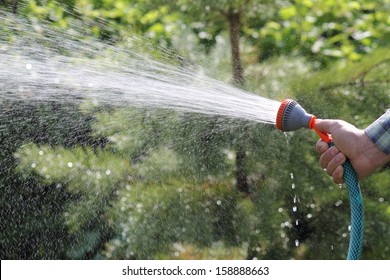 A Man Watering The Garden