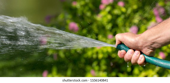 Man watering garden with hose, close-up