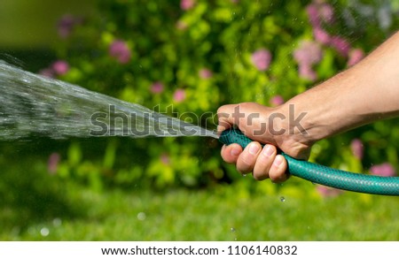 Man watering garden with hose, close-up