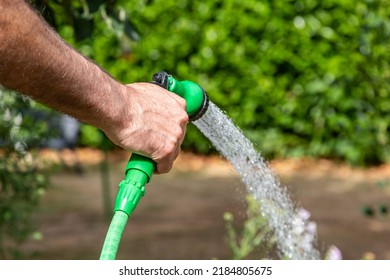 A man watering a garden with a hosepipe, during a dry summer in Sussex - Shutterstock ID 2184805675