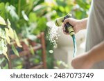 Man watering plants in his garden. Urban gardening watering fresh vegetables nature and plants care