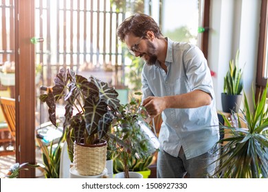 Man Watering Plants At Home
