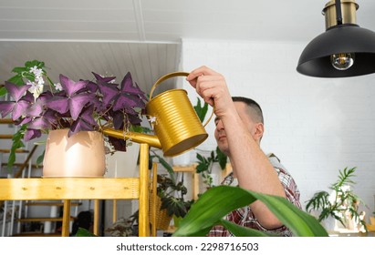 Man waters home plants from her collection of rare species from a watering can, grown with love on shelves in the interior of the house. Home plant growing, green house, water balance - Powered by Shutterstock