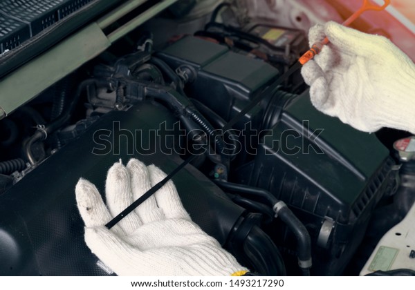 ็Hand of man wear white gloves check maintenance\
engine oil level.