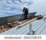 Man wearing a harness standing on the wooden battens of a timber framed roof structure with a piece of long run sheeting iron in his hands in the middle of a roof repair job in New Zealand