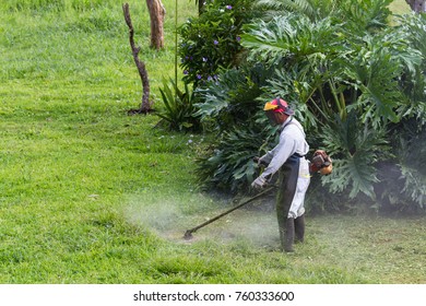 Man With A Weed Whacker Mowing The Lawn In A Large Yard In Costa Rica