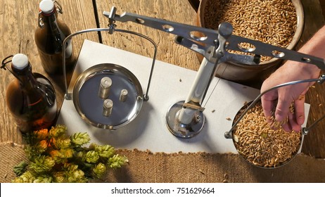 Man Weighs Malt For Home Brewing Of Beer.