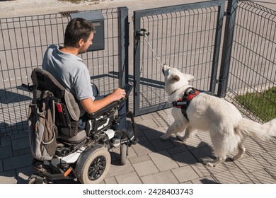 Man in a wheelchair leaving his house yard with the help of a service dog opening and closing the door. Mobility assistance concept. - Powered by Shutterstock