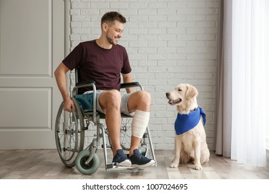 Man in wheelchair with service dog indoors - Powered by Shutterstock