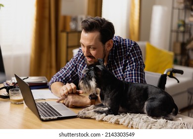 A man in a wheelchair sits at his desk and browses websites dedicated to dog beds. The man becomes interested in one of them and shows it to his dog. The interested pet looks at the screen . - Powered by Shutterstock