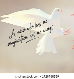 Flying Quotes Stock Photos Images Photography Shutterstock