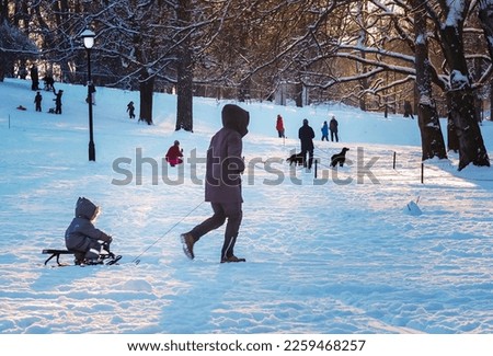 Man in winter clothes pulling a sledge with a child, people and dogs playing in the snow in a park, and the low sun shining creating shadows in the snow. 
