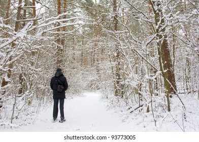man in the winter forest