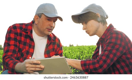 Man and woman agronomist talking analyzing harvest cultivation use digital tablet closeup. Two agricultural worker discuss consulting research organic natural crop at corn field work as team - Powered by Shutterstock