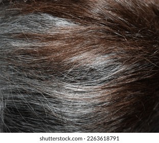 Man Woman Black Brown White Gradient Hair