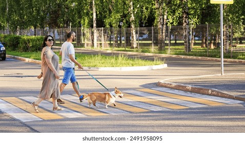 A man and a woman with a corgi dog cross to the other side of the street at a pedestrian crossing, street photo in summer, casual style, plus-size woman smiling, following road safety rules, walking  - Powered by Shutterstock