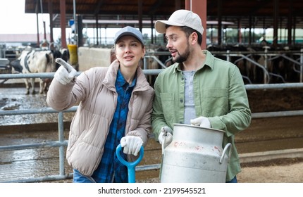 Man And Woman Dairy Farm Workers Having Conversation About Work At Cow Barn. Woman Pointing Finger.