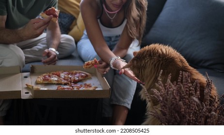 Man And Woman Eat Pizza At Home. Ready Meal Delivery Concept. Fast Food. Red Cat Begging For Food