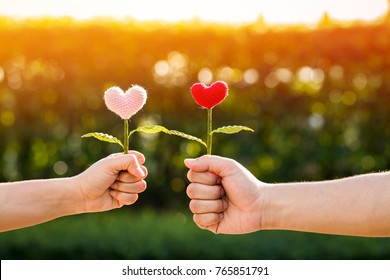 Man And Woman Hand Holding A Flower Of Heart Filed Together On Sunlight In The Public Park, For Give Supporting When People Get Who Lack Of Desire With Love Concept.