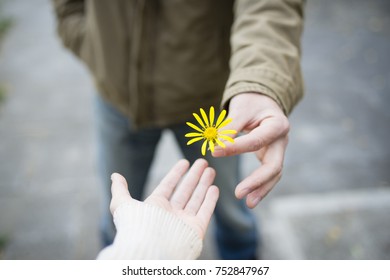 Man and woman hand over yellow flower - Shutterstock ID 752847967