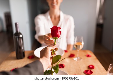 Man And Woman On A Romantic Date. Man Giving His Girlfriendwife A Red Rose. People Valentines Day Celebration Concept. 