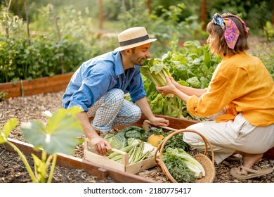 43,976 Happy food growing Images, Stock Photos & Vectors | Shutterstock