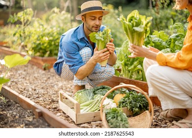 43,976 Happy food growing Images, Stock Photos & Vectors | Shutterstock