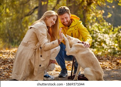 Man And Woman Playing With Their Pet Dog In The Forest, Side View. Friendly Nice Dog Give High Five To Blonde Woman