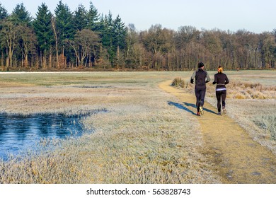 Man and woman running together on a path in nature reserve. It is early in the morning on a sunny day in the winter season and the grass is frosted. - Shutterstock ID 563828743