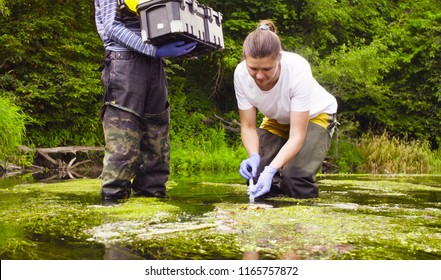 Man and woman scientist environmentalist standing in a river. Woman taking sample of water. Man holding toolbox