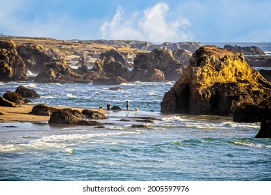 Man And Woman With Two Dogs Walking On Northern California Beach With Huge Outcroppings - View From Above