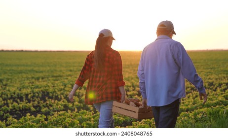 man woman working farm carry potatoes carrots box, agriculture, farm sunset, farmers engineers harvesting, business farm concept, teamwork group people man woman, senior agronoser field, vegetable - Powered by Shutterstock