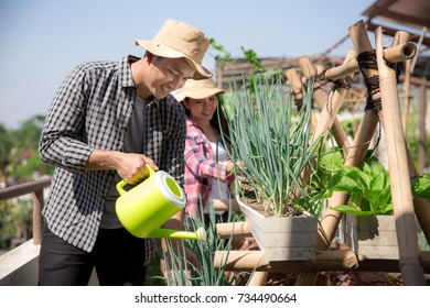 Man And Woman Working In The Small Farm On The Rooftop. Urban Farming Concept