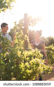 A man and women drinking wine in the winelands with a white sky in the background and the sun shining bright