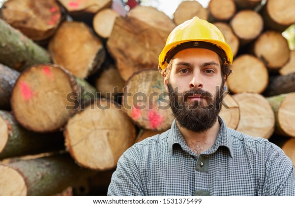 Man as a woodcutter or forest worker with\
safety helmet in front of long wood\
cargo